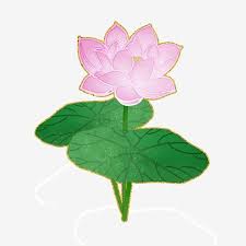Light Purple Lotus Chinese Style Flower Png Material Purple Lavender Mysterious Png Transparent Clipart Image And Psd File For Free Download In 2020 Purple Backgrounds Chinese Style Light Purple