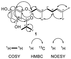 Image result for Hypericum peplidifolium
