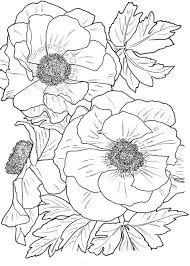 That's why we had to include flowers in our vast collection of coloring pages. Truck Coloring Pages For Adult Wallpaper Page Of 1 Images Free Download