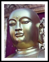 Fat Buddha Framed Art Prints for Sale