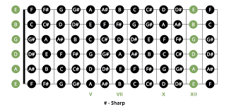 most popular beginner guitar chords chart musician tuts