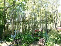 Cloture Des Branches De Noisetiers Coupees Et Simplement Alignees Bordure Jardin Idees Jardin Jardins