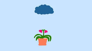Seed animation 3d model available on turbo squid, the world's leading provider of digital 3d models for visualization, films, television, and games. Flower Animation Growing Cartoon Stock Video Footage Royalty Free Flower Animation Growing Cartoon Videos Pond5