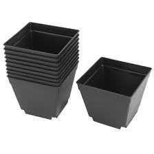 To help our customers we have put. Coffee Shop Plastic Square Flower Plant Pot Saucer Holder 4 X 4 10pcs Black 4 X 4 X 3 3 L W H On Sale Overstock 28784125