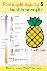 What foods neutralize stomach acid? Pineapple Health Benefits Calories Carbs Dogs