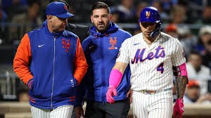 Mets Francisco Alvarez out eight weeks after knee surgery | 1010 WINS