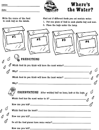 All science worksheets, photosynthesis worksheets. Where S The Water A Magic School Bus Printable Scholastic