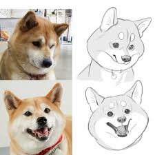 Photo Vs Drawing Dog Drawing Kawaii Drawings Cute Kawaii Animals