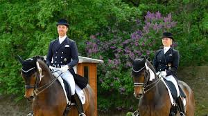 Magische Dressurmomente Sport In Der Region