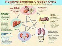 Anxiety disorder atau gangguan kecemasan adalah munculnya perasaan cemas dan takut yang berlebih, sehingga mengganggu keberlangsungan aktivitas keseharian 3. Ternyata Penyakit Bisa Datang Dari Sikap Buruk Segera Istigfar Voa Islam Com