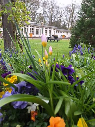 GGzE De Tuin | Eindhoven