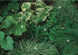 There's a hosta for every need, and they're. 10 Combinations For Shade Finegardening