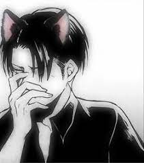 Levi Catboy In 2021