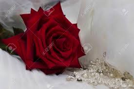 We did not find results for: Stuck Brautkleid Perlen Stickerei Mit Roter Rose Lizenzfreie Fotos Bilder Und Stock Fotografie Image 98100436