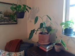 Tips for plots, flats, property, for placement of main door and other rooms. It S All About The Lighting Naples Botanical Garden