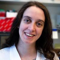 The Viviane Tabar Lab