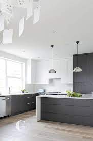 Gray and white kitchen ideas. Modern Black And White Kitchen With Black Pantry Cabinets Modern Kitchen Modern Kitchen Design Modern Kitchen White Modern Kitchen