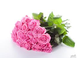 اروع خلفيات ورود 2019 صور ورود رومانسية تحفة 2019 صور زهور مميزة 2019 rose flower wallpaper hd flower wallpaper pink rose flower