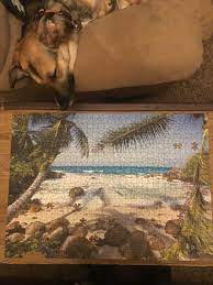 Place a kibble (or up to a cup of food) inside of the toy and let your pup work to get it out. Finished A 980 Piece Puzzle It Was 1000 Pieces Before The Dog Ate 20 Of Them Jigsawpuzzles