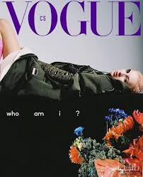 Má za sebou tisíce koncertů, stovky titulek časopisů, z nichž poslední je cover pro vogue czechoslovakia. Cover Of Vogue Czechoslovakia With Finn Buchanan November 2019 Id 52835 Magazines The Fmd