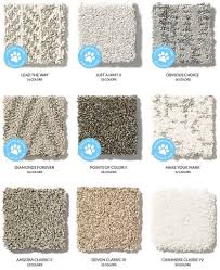 Pomona is a luxurious plush carpet that feels extraordinary under bare feet, thanks to purecolor® soft polyester fibers. Shaw Carpet Review Don T Buy New Carpets Until You Read This