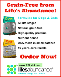 They get dressed up, get pushed around in baby strollers and get. Life S Abundance Improving The Health Of People Pets The Planet Life Cat Usa Grain Free Dog
