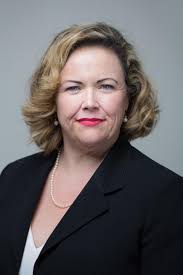 Domestic Violence Death Review Committee Annual Report 2017