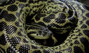 Nate garner gay porn the representative from the firm was