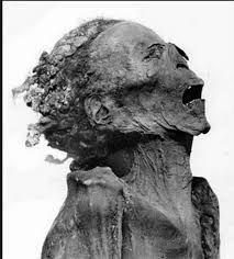 The 2228 Passager Of Titanic Egyptian Mummies Egyptian History Ancient Egypt