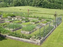 Wide Fit Beige Derry Court Shoes Garden Layout Vegetable Garden Design Raised Bed Garden Layout