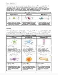 34 integumentary system worksheet coloring. Worksheet What Is Muscular And Nervous Tissue Hs Ls1 Tpt