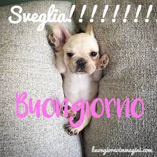 Le Immagini Del Buongiorno Piu Belle Gratis E Sempre Aggiornate Buongiornoimmagini Buongiorno Immagini Buongiorno Auguri Di Buongiorno