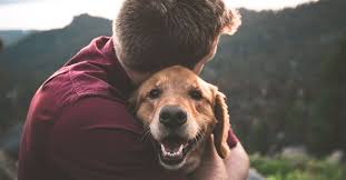 If you wish to find out about some common blessings and prayers for each situation. Do Dogs Go To Heaven Truths From The Bible