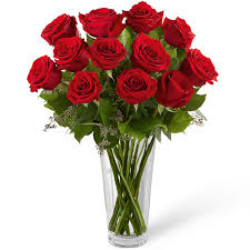 Maybe you would like to learn more about one of these? 12 To 24 Long Stem Red Roses Ital Florist Toronto