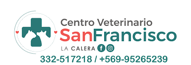 Centro Veterinario San Francisco