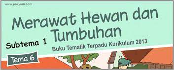 Telur ayam dimanfaatkan untuk lauk pauk keluarga lani membutuhkan 1 kg telur ayam setiap hari 6 hari. Lengkap Soal Tematik Kelas 2 Tema 6 Subtema 1 Semester 2 Berpendidikan