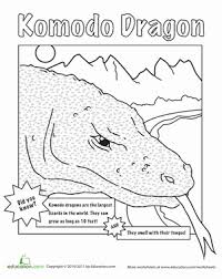 Color The Komodo Dragon Worksheet Education Com Komodo Dragon Komodo Dragon Coloring Page
