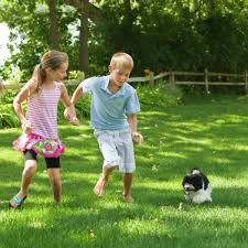 See and discover other items: Purely Organic Products 25 Lb Lawn Food Fertilizer Lfjrdk1 The Home Depot