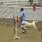 Canaan Dog Club of America All Breed Agility event in Pendleton, SC