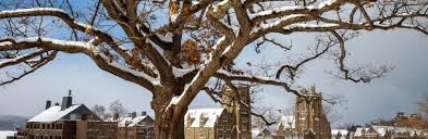 Investing in the Long-Term Investment Pool