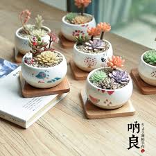 呐良 多肉 来自呐良多肉花盆的图片分享 堆糖 succulent gifts succulents decor succulent gardening
