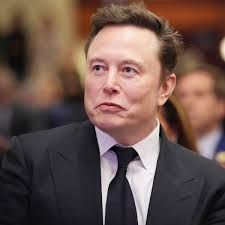Tesla CEO Elon Musk engaged with German influencer Naomi Seibt publicly  over 40 times, who is she?