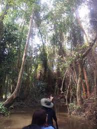 Intermediate rental cars from budget in park city are around 46% cheaper than other car types, on average. Ngu Hanh Son Mountain At Danang City Saigon Budget Car Rental Tour Picture Of Saigon Budget Car Rental Tour Ho Chi Minh City Tripadvisor