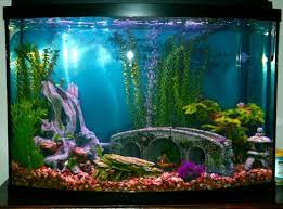 Find deals on products in outdoor decor on amazon. How To Decorate Your Boring Fish Tank Pouted Com Fish Tank Aquarium Fish Tank Fish Tank Themes