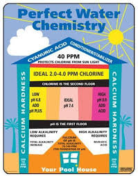 We Offer The Best Pool Service And Repairs With The Lowest Prices In Az We Are A 5 Star Company Because W Pool Maintenance Swimming Pool Maintenance Pool Care