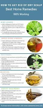 Best Home Remedies In 2021 Dry Scalp Dry Scalp Treatment Diy Itchy Scalp