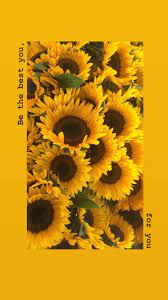 Maybe you would like to learn more about one of these? Yellow Aesthetic Sunflowers Wallpapers Top Free Yellow Aesthetic Sunflowers Backgrounds Wallpaperaccess