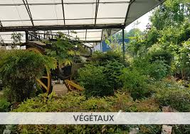 1 rue quatre saisons, 76290, montivilliers 0235555590. Jardinerie De Montivilliers Desjardins Fr