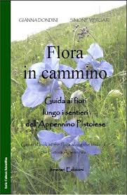 Image result for Heteranthoecia  guineensis