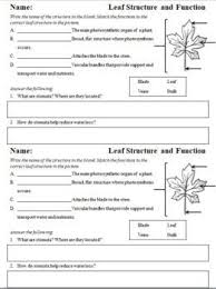 Pin On Botany